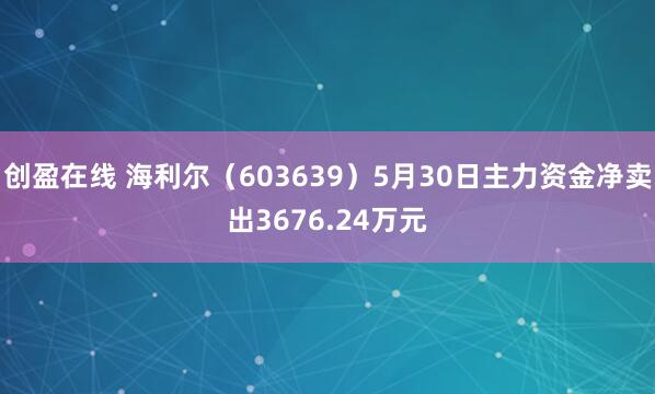 创盈在线 海利尔(603639)5月30日主力资金净卖出3676.24万元