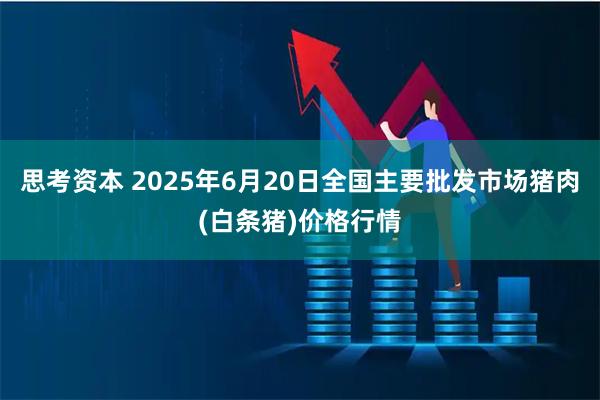 思考资本 2025年6月20日全国主要批发市场猪肉(白条猪)价格行情