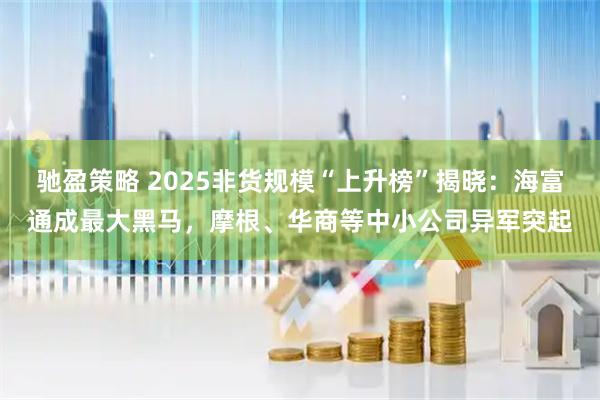 驰盈策略 2025非货规模“上升榜”揭晓：海富通成最大黑马，摩根、华商等中小公司异军突起