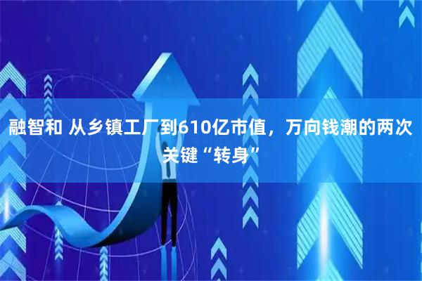 融智和 从乡镇工厂到610亿市值,万向钱潮的两次关键“转身”